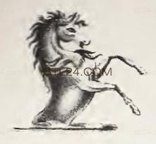 ANIMAL_0182